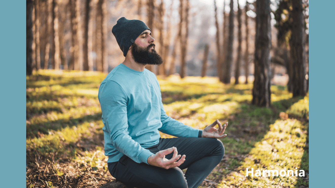 Comment se reconnecter à soi-même dans un monde hyperconnecté | Harmonia - Harmonia 